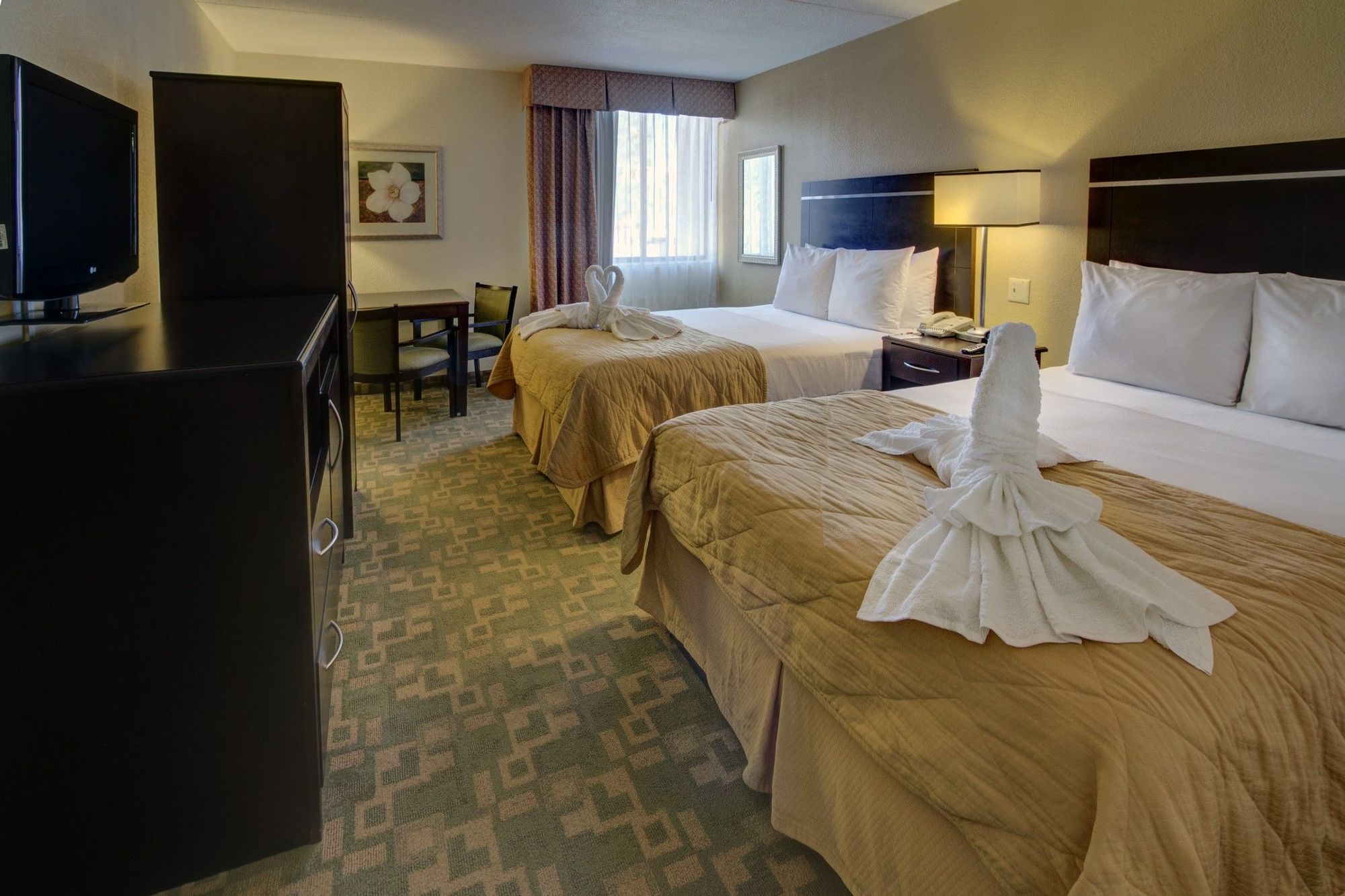 Clarion Inn & Suites At International Drive Williamsburg Rom bilde